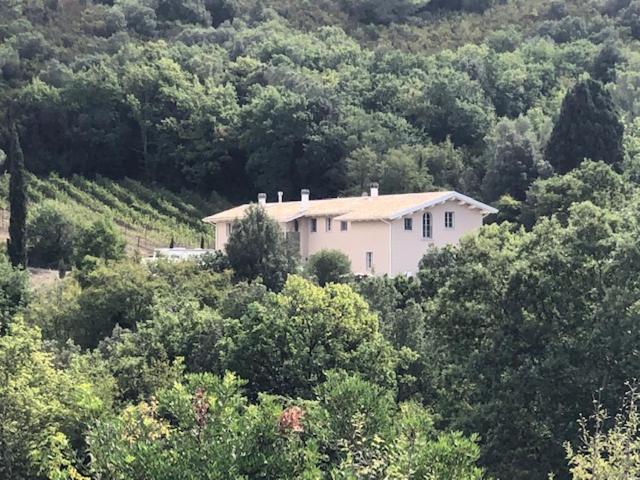 B&B Il Vecchio Molino Quercianella Exterior photo