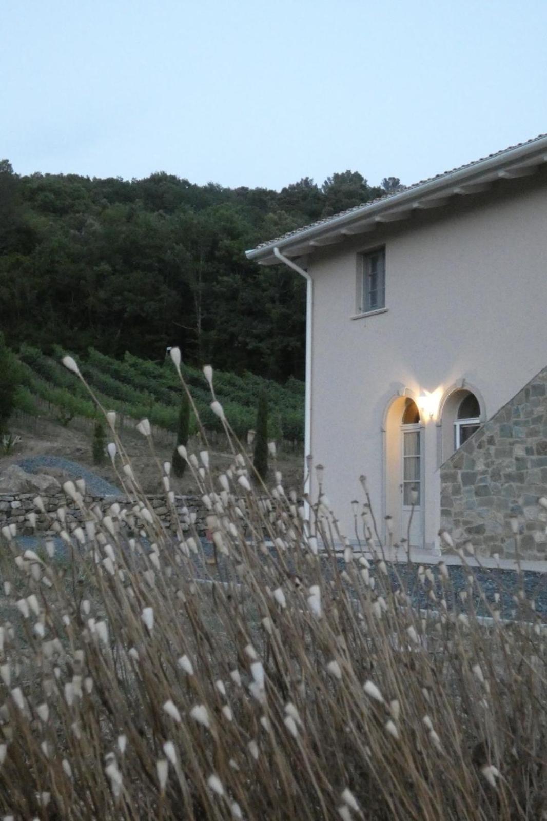 B&B Il Vecchio Molino Quercianella Exterior photo